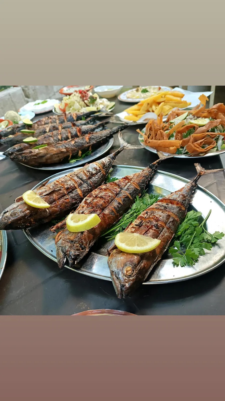 مطعم ومنتزه الخمائل